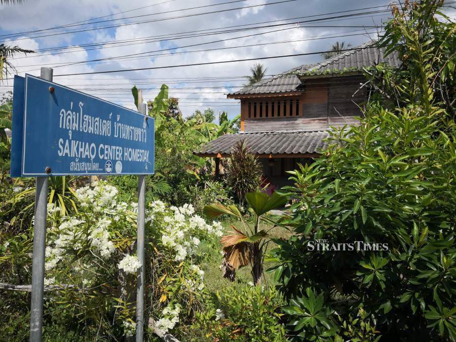  The Sai Khao Centre Homestay is the best way to experience the local way of life in rural Pattani.