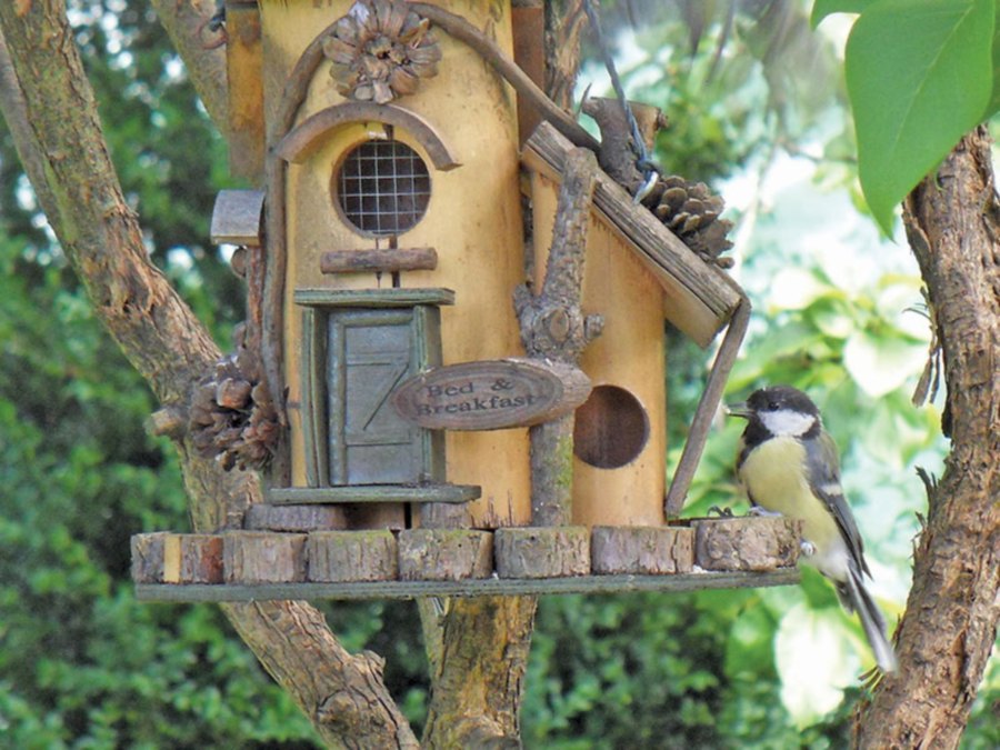 Add pretty birdhouse to attract feathered friends.