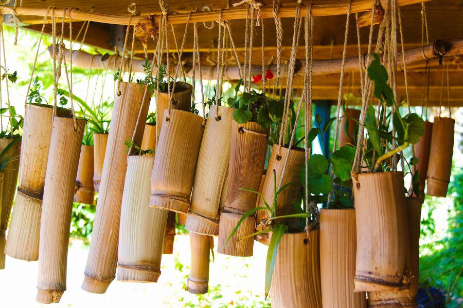 Bamboo planters for the all-natural look.