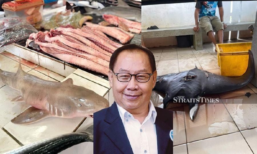 Sabah Agriculture, Fisheries and Food Industry Minister Datuk Seri Dr Jeffrey Kitingan (inset) says the sharks and sting rays sold at a market in Sabah are not endangered species of marine life. - NSTP file pic