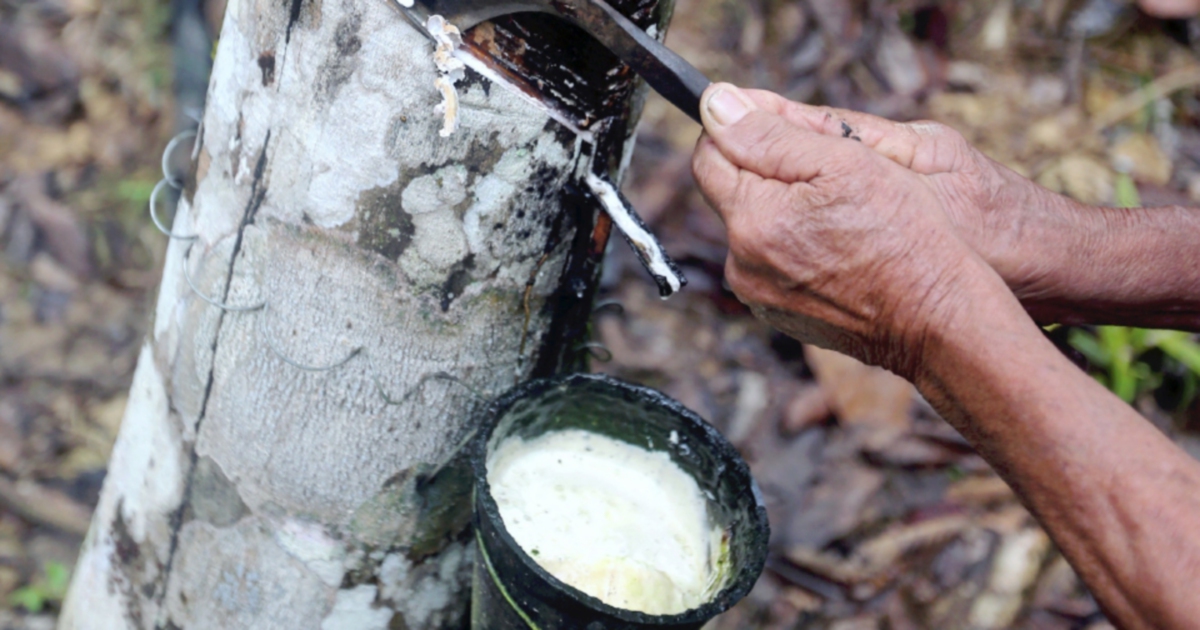 Rubber Industry To Contribute Rm41bil In 2020