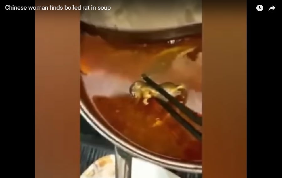 Instant hotpot raises safety concerns - China Plus