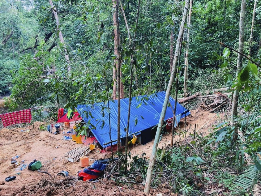 Several areas in Gua Musang have drawn miners including Sungai Galas, Kampung Pulai and Taman Rusa. - Pic courtesy of Perhilitan