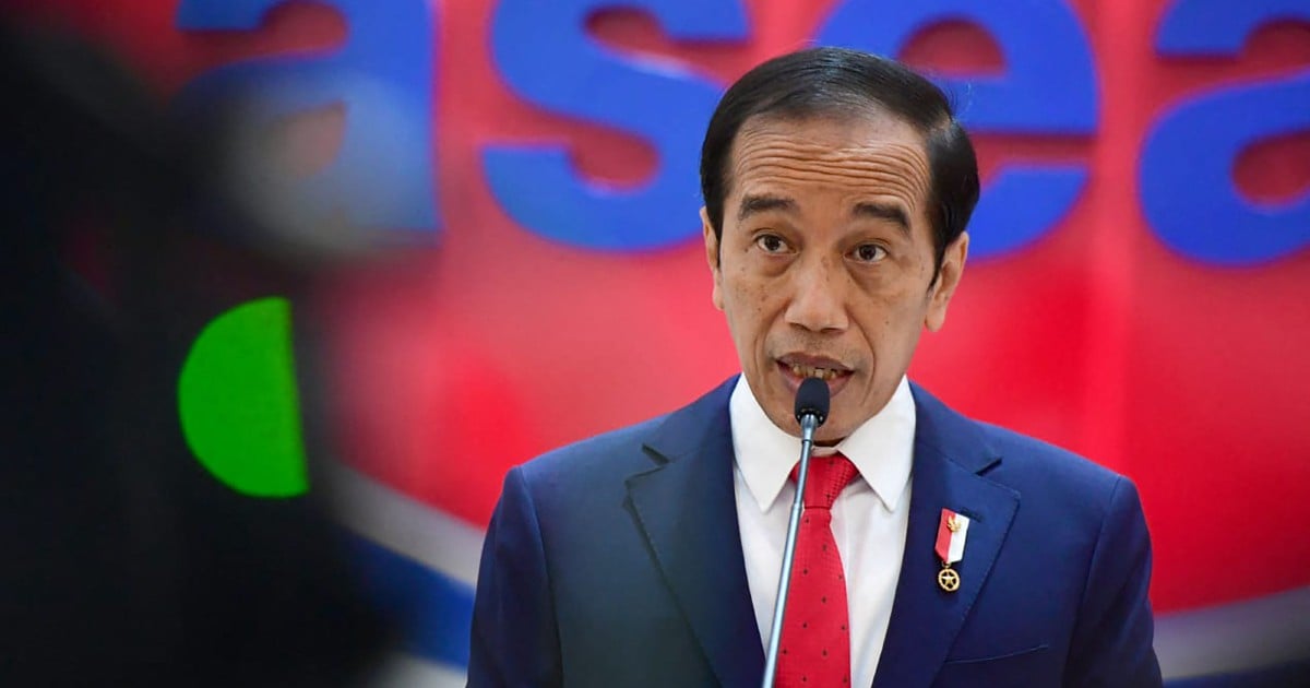 Myanmar violence must end, democracy be restored – Jokowi