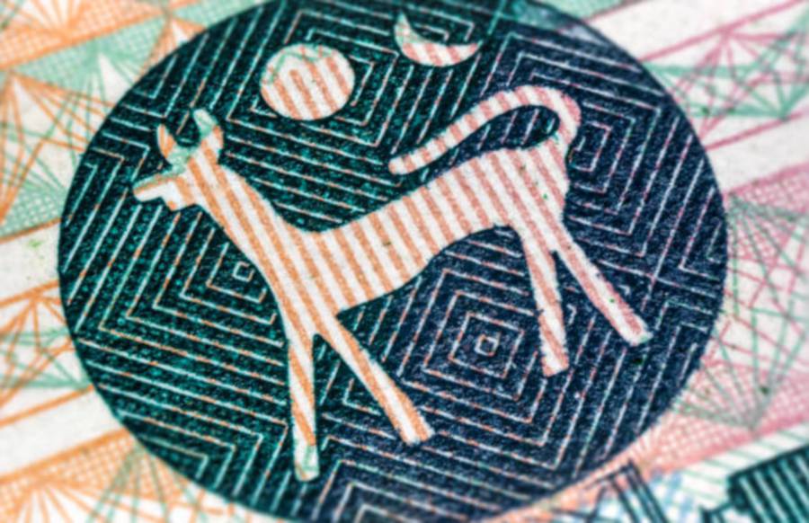A macro photography of the logo of Bank Negara Malaysia, taken from an old 50 Malaysian ringgit banknote. 
