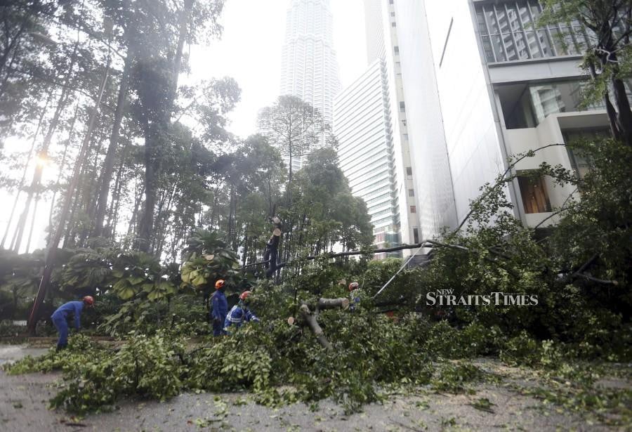 City Hall workers cleaning up after a tree feel during heavy rain in Jalan Pinang, Kuala Lumpur, recently. - NSTP/MOHAMAD SHAHRIL BADRI SAALI