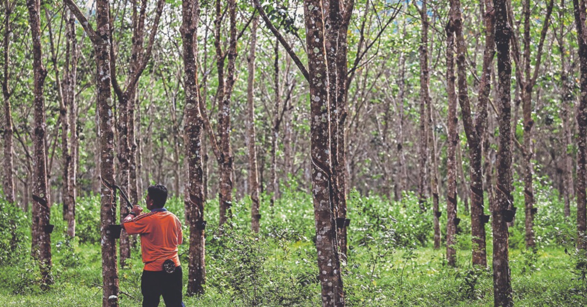 Malaysian rubber gloves sector's recovery remains uneven, says RHB ...