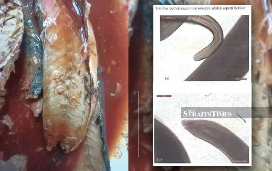 An alarming discovery was made at the BSI checkpoint on March 27, where canned sardines imported from Singapore were found to be contaminated with Anisakis spp. parasitic worms. - Pic Courtesy of Johor Maqis 