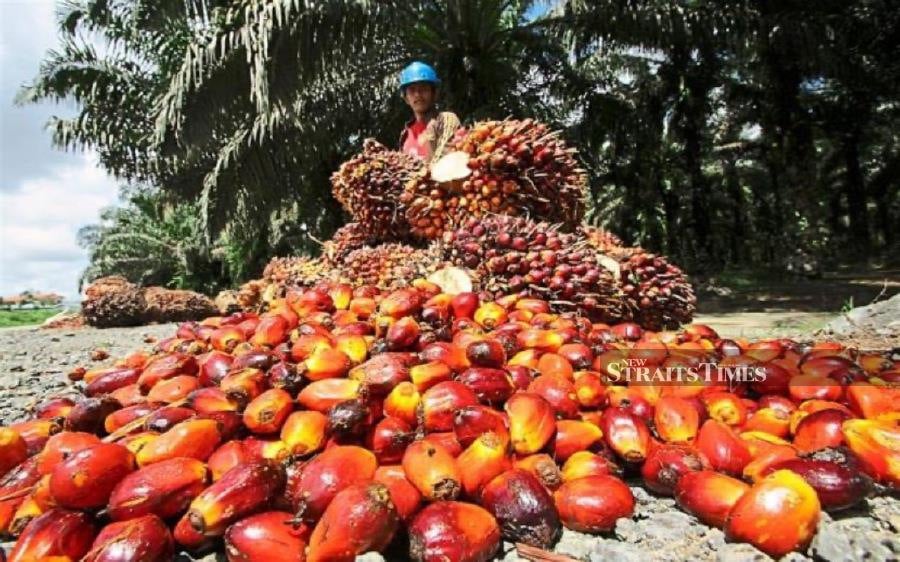 Malaysian Palm Oil Board (MPOB) recently inked agreements with four local companies for the commercialisation of its four innovative technologies in fertiliser formulations, plantation mechanisation and palm-based polyols.
