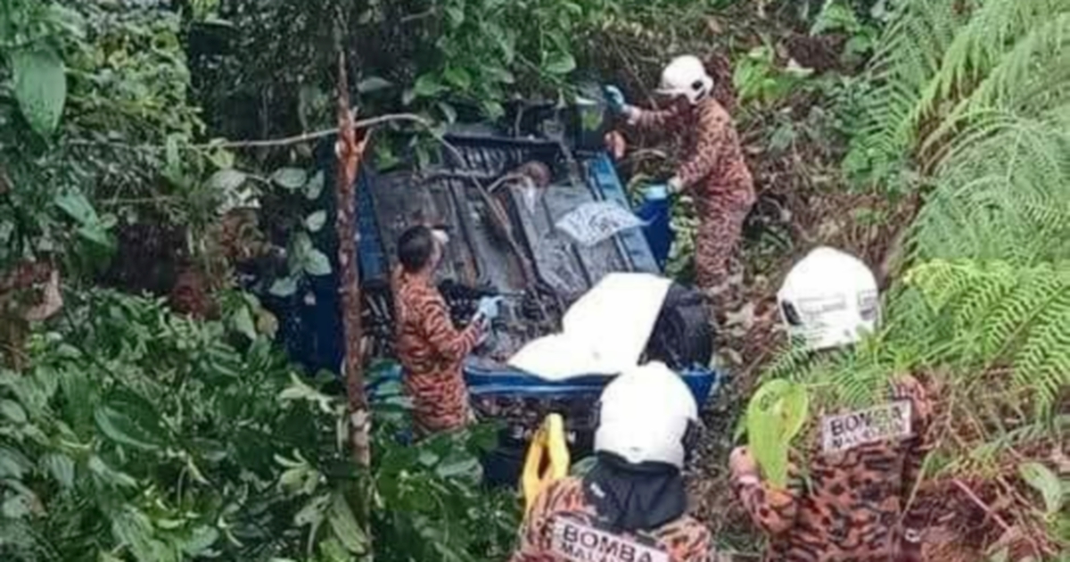 Missing Senior Citizen Found Dead In Ravine In Mersing | New Straits ...