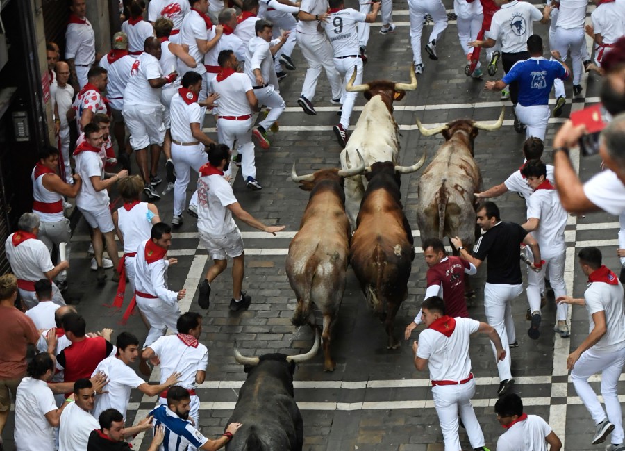 Running of the Bulls, 2024, San Fermin, Encierro