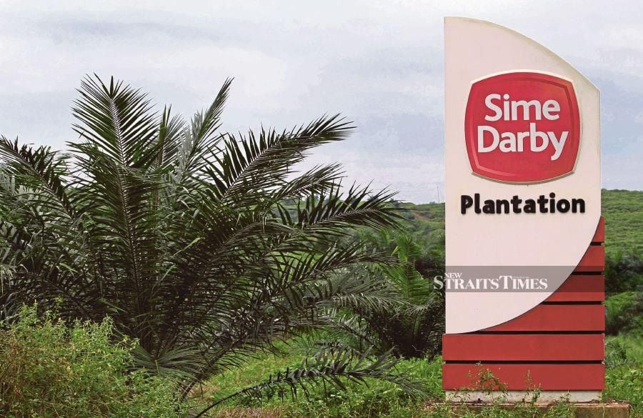 Sime Darby Plantation Bhd (SDP) has achieved a global milestone as the first palm oil company to have its net-zero targets approved by the Science Based Targets initiative (SBTi).