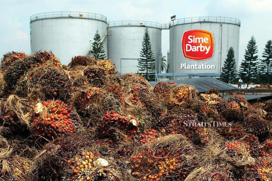 Sime Darby Plantation Bhd (SD Plantation) today said it will work with major shareholder Permodalan Nasional Bhd to develop the 404 hectare Kerian Integrated Green Industrial Park (KIGIP), in Perak.