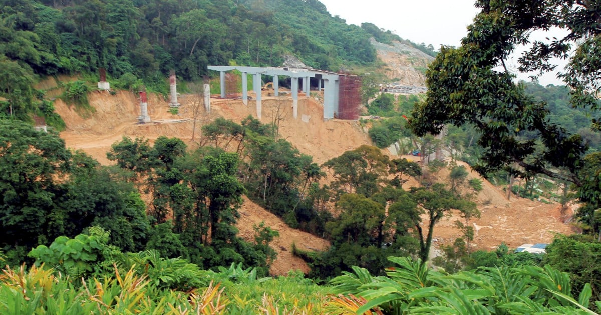 Penang Forum may be included in Bukit Kukus landslide probe | New ...