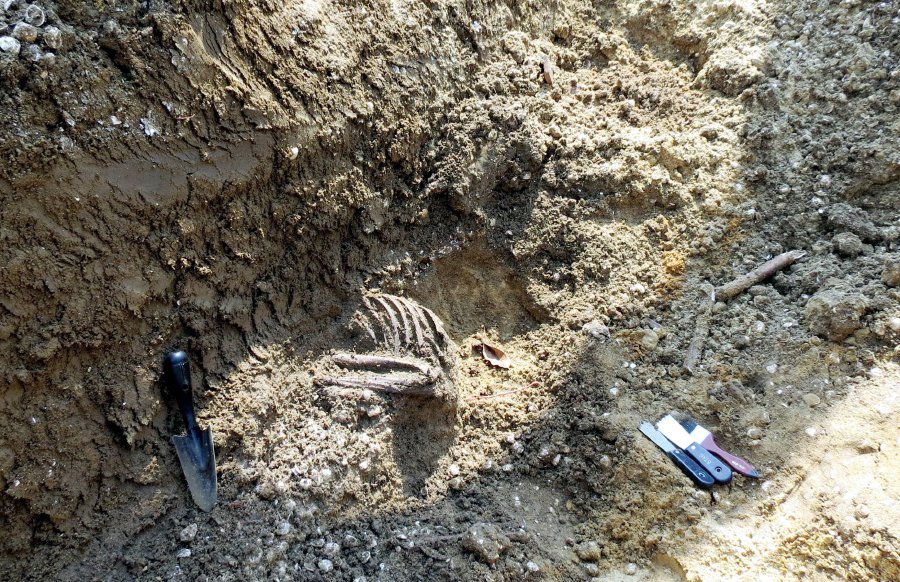 5,000-year-old skeleton discovered at Guar Kepah construction site ...