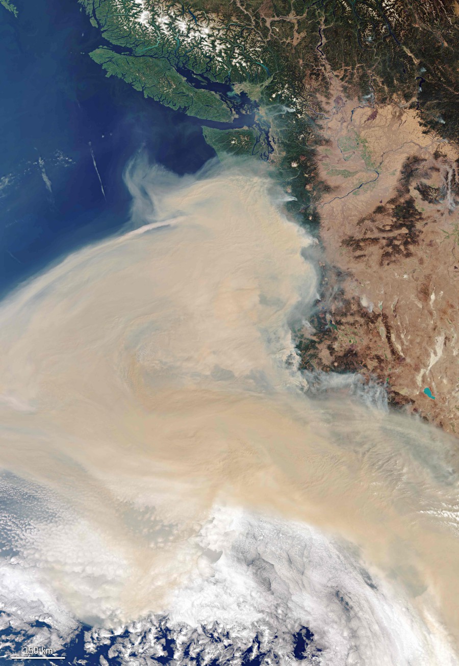 This handout image taken on September 10, 2020, from Copernicus-Sentinel-3 shows the smoke plume off the west coast of the states of Oregon, Washington and California, as fires rage across the continent. - AFP pic/European Space Agency/Copernicus/Sentinel 3