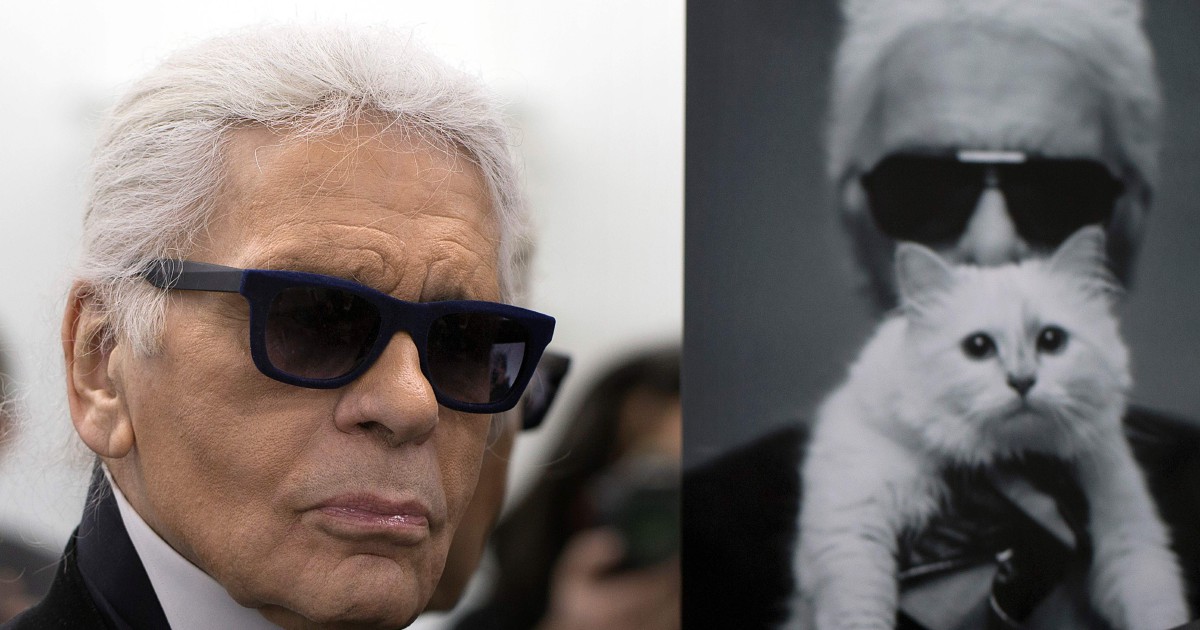 Choupette: Karl Lagerfeld's Famous Cat Is The Subject Of A New Photography  Book