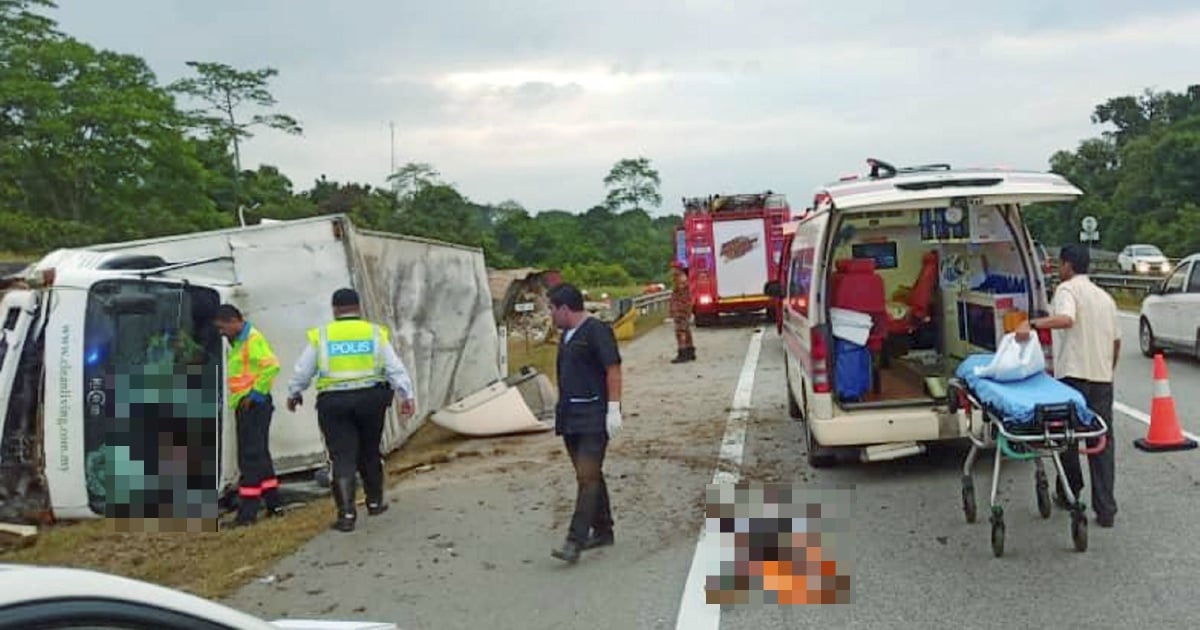 Stolen three-tonne lorry ends in highway crash | New Straits Times