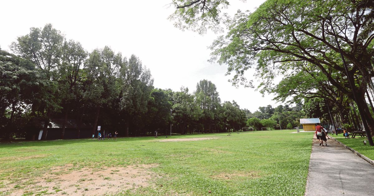 Taman Rimba Kiara project scaled down | New Straits Times