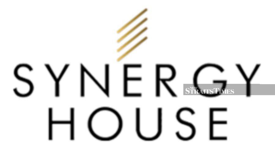 Synergy House logo