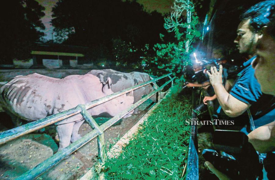 Zoo Taiping & Night Safari. Photo by NSTP/AZHAR RAMLI