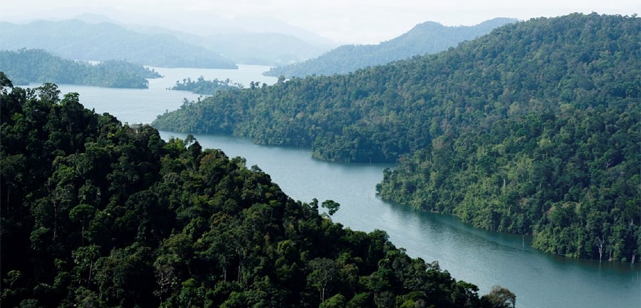 Taman Negara has become a popular ecotourism destination, attracting both local and foreign nature lovers. - File pic credit (Tourism Malaysia) 