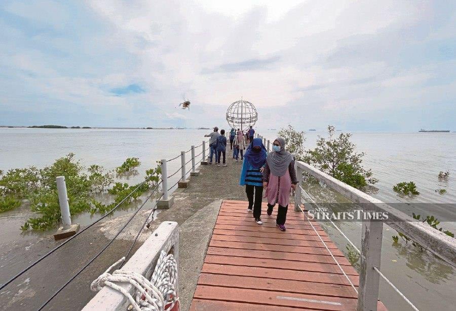 Located in the Serkat sub-district, Tanjung Piai is said to have gotten its name from the golden leather fern (Pokok Piai), which grows healthily in the area. - NSTP pic