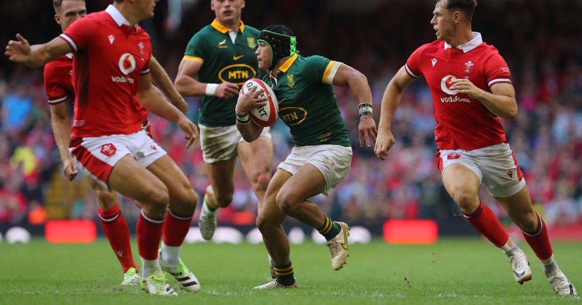 Kolisi Returns As Springboks Thrash Wales In Rugby World Cup Warm Up Hot Sex Picture