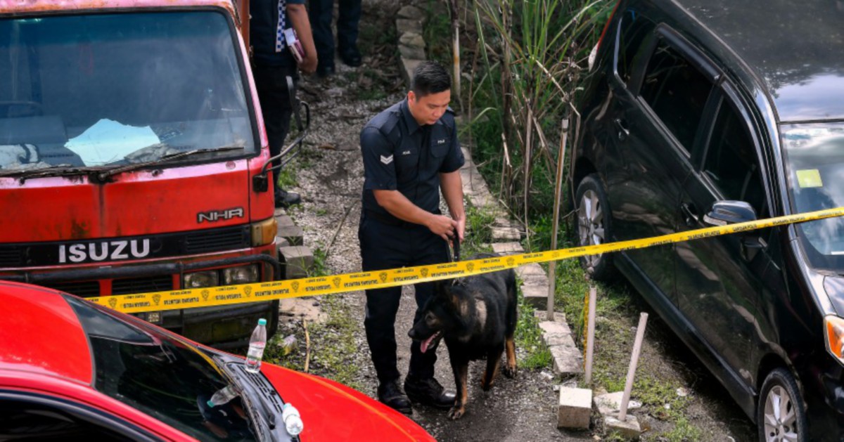 Zayn Rayyan murder: A timeline of events | New Straits Times