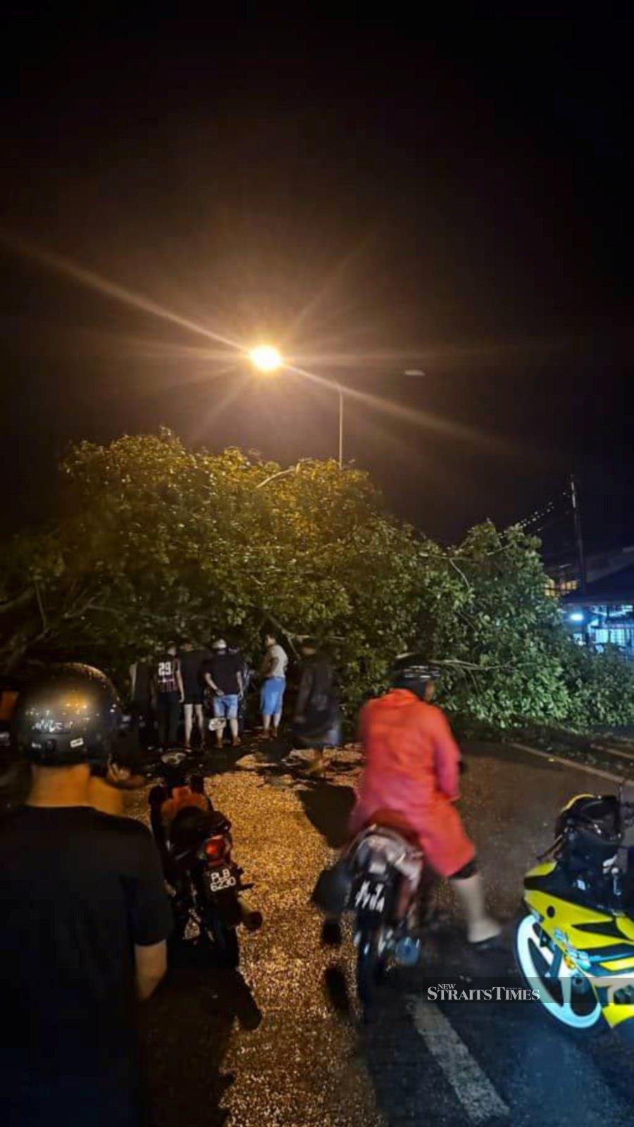 A powerful storm with strong winds uprooted trees and damaged seven houses across Kubang Pasu earlier today. - Pic courtesy of Kubang Pasu Malaysia Civil Defence Force 