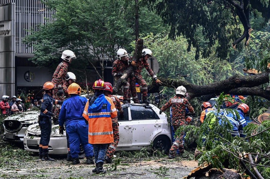  Dang Wangi district deputy police chief, Superintendent Nazron Abd Yusof said the tree crushed 17 vehicles of various types. - Bernama pic