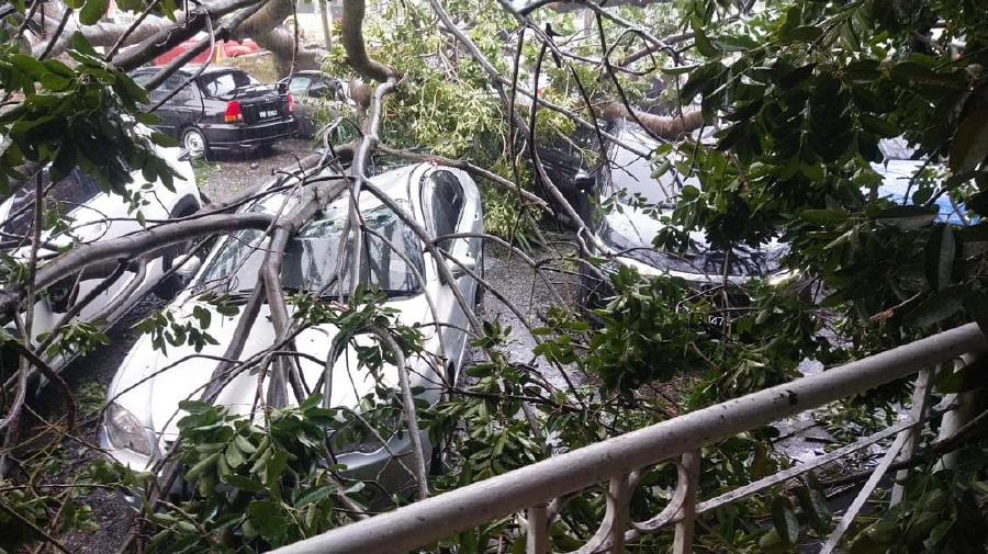 A tree fell during a storm in Taman Kinrara, Puchong, damaging seven vehicles. Pic courtesy of Fire and Rescue Department