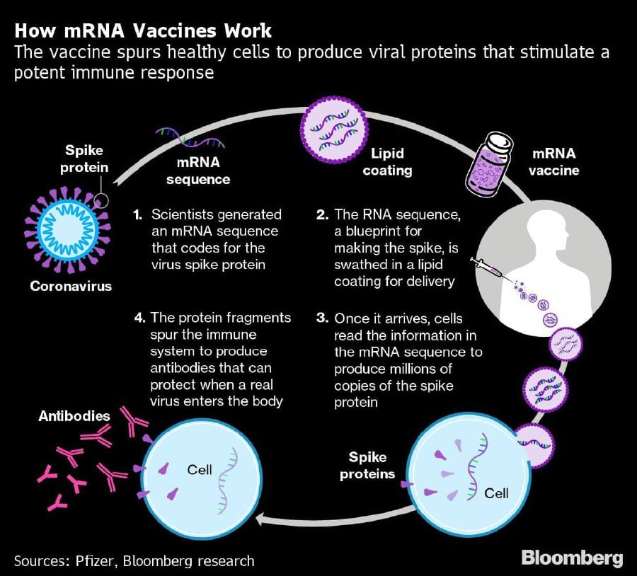 With one vaccine having gained US clearance and the other close behind, the pandemic validation could wrench open a whole new field of medicine. - Bloomberg pic