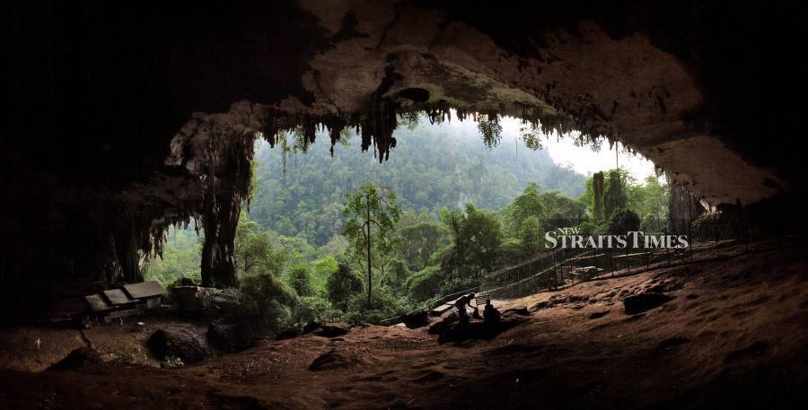  The looting at Niah Caves was around 60 years ago and the Sarawak government is hot on the trail.