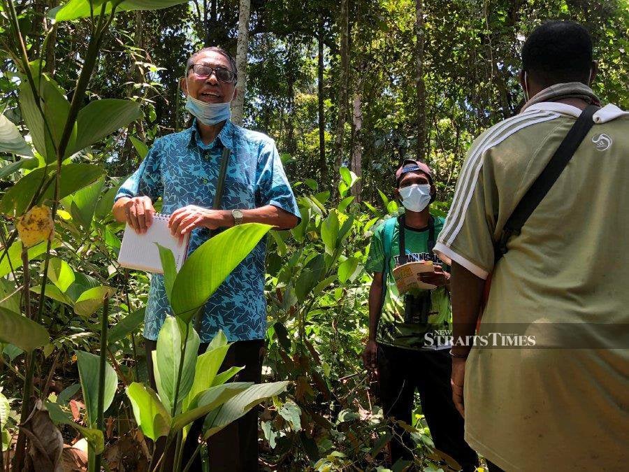 Botanist Emeritus Professor Datuk Dr Abdul Latiff (left) leading the way.