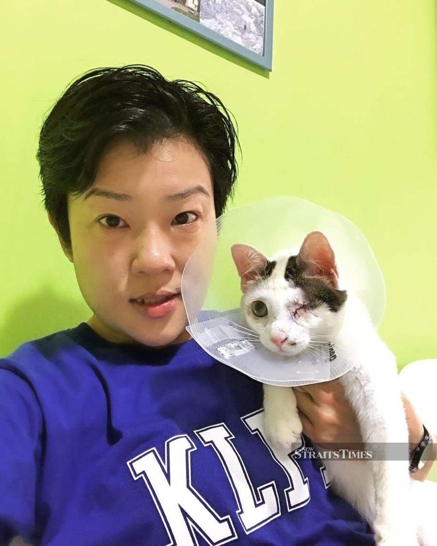  Wong Ee Lynn with her rescued kitten, Pringles.