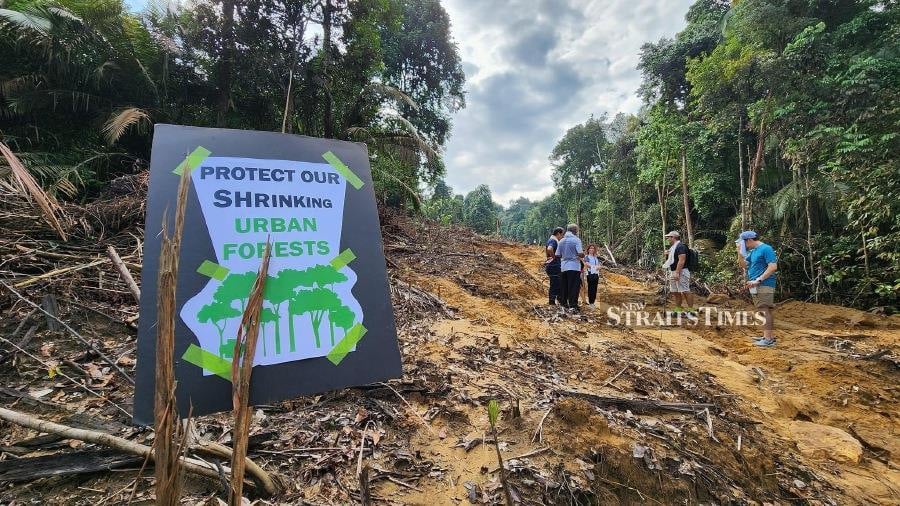  Time is running out for the Shah Alam Community Forest.