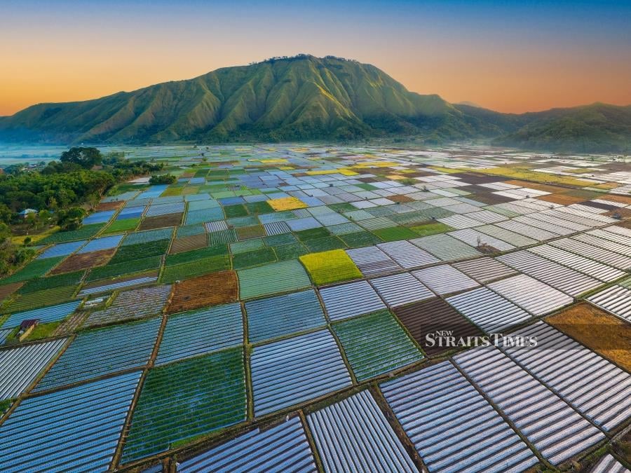  Agricultural land in Lombok, Indonesia.