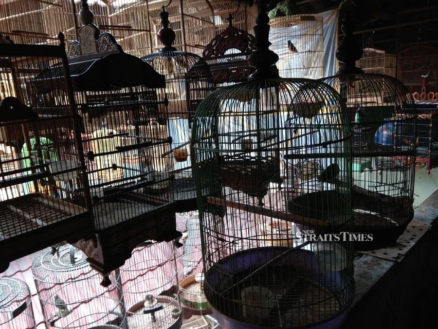  Caged birds in Pramuka bird market, Jakarta. Photo credit: Serene Chng/TRAFFIC.