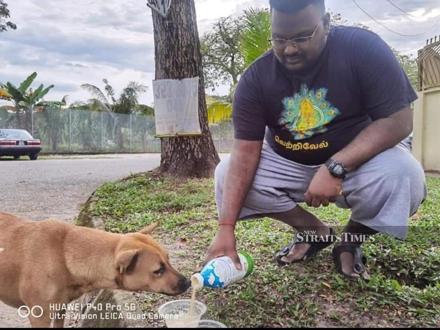  Kalai has a heart for abandoned and stray animals.