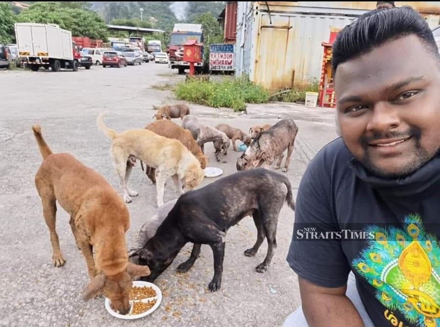  Kalai has been feeding strays for more than 15 years.