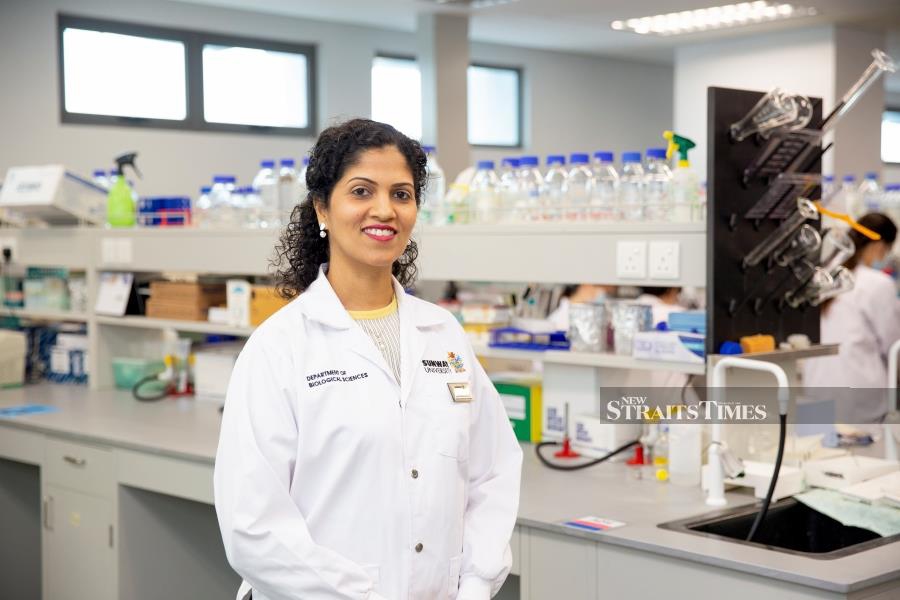  Kavita in her laboratory at the Department of Biological Sciences, Sunway University.