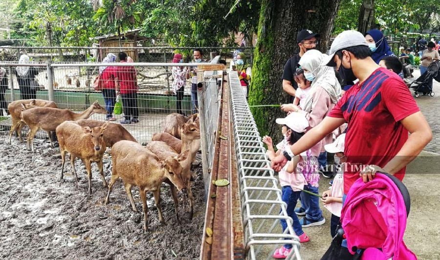 Hundreds made way to the Zoo Negara during its first day of operations today, after shuttering doors for more than two months due to the increase in Covid-19 cases in the Klang Valley. - NSTP/MAHZIR MAT ISA. 