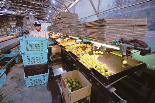 Curbing food wastage at source