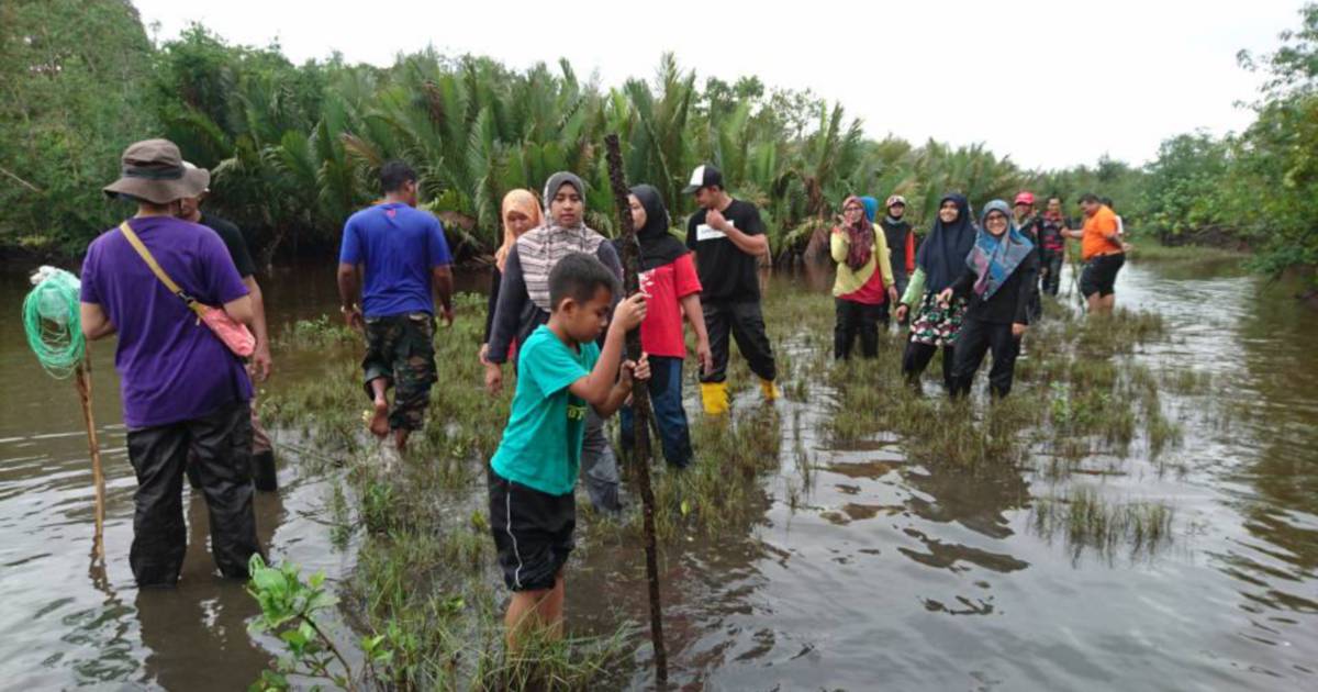 UMT programme exposes participants to importance of wetlands ...