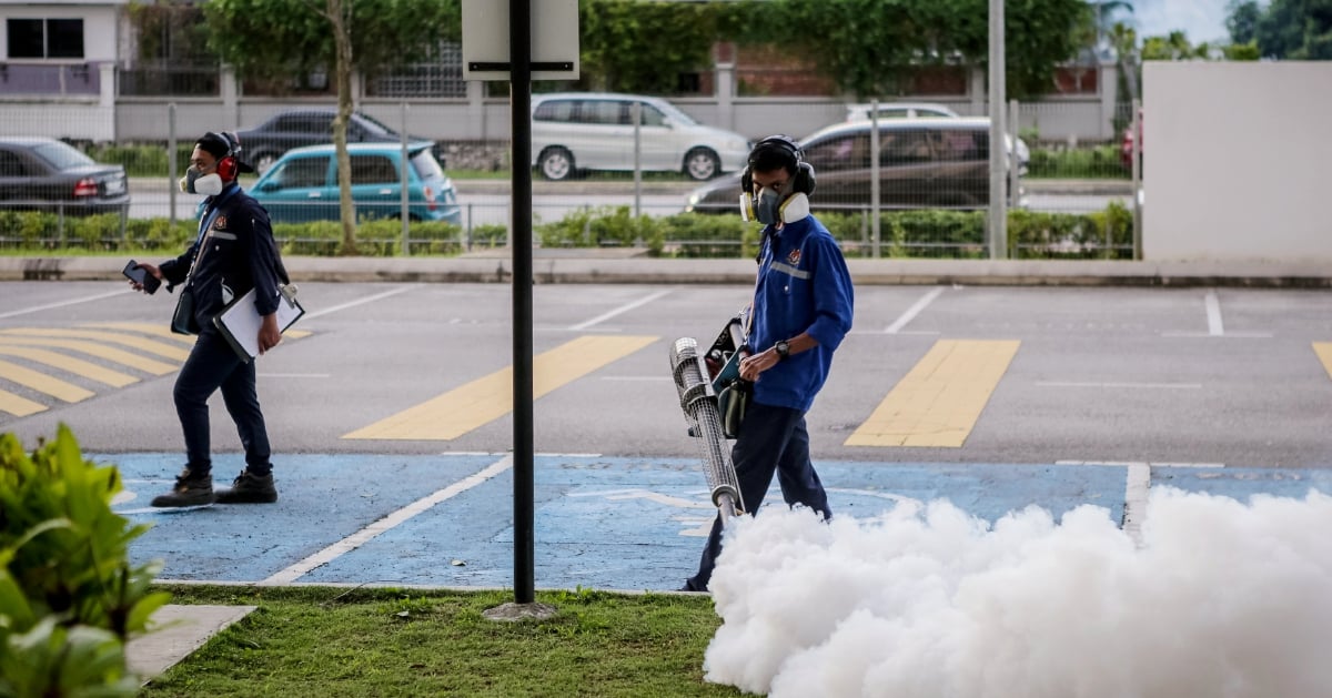 Dengue Cases Up Per Cent Last Week New Straits Times