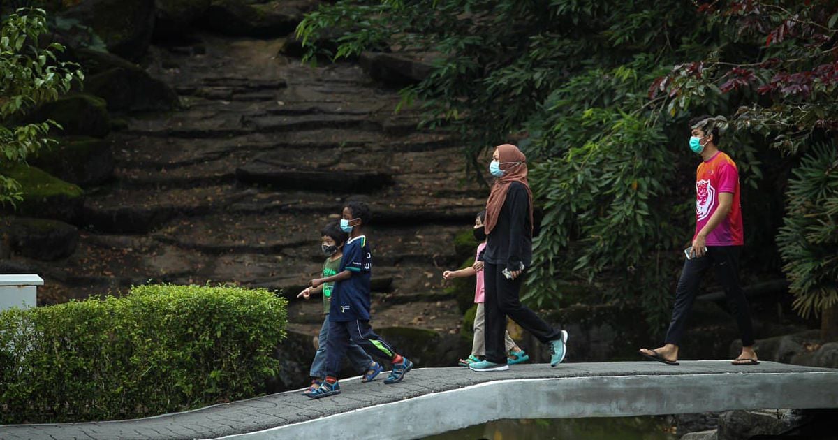 Bukit Kiara Federal Park gazetted as green lung | New ...