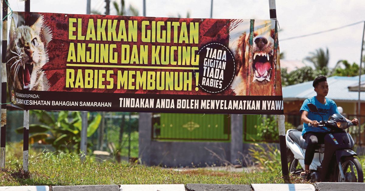 Sarawak records 5th rabies death this year