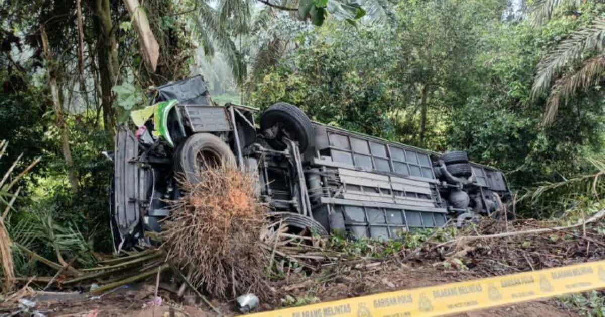 Driver In Fatal Rompin Bus Crash Tested Negative For Drugs; Police ...