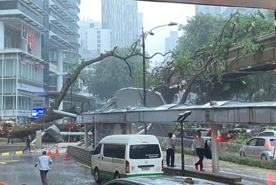 Several cars can be seen trapped under the fallen tree. -PIC CREDIT: SOCIAL MEDIA